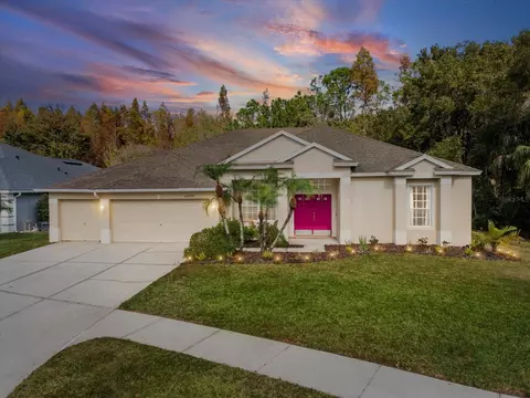 26249 Sword Dancer Dr, Wesley Chapel, FL 33544