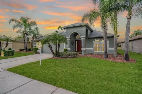 1043 Dustan Pl, Trinity, FL 34655