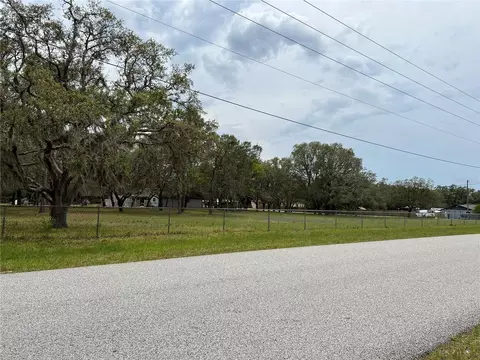 00 Fringe Tree Dr, Spring Hill, FL 34610