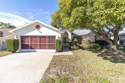 11007 Basquin Ct, Port Richey, FL 34668