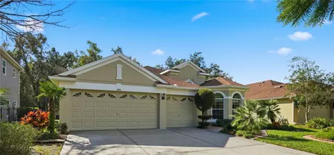 11166 Belle Haven Dr, New Port Richey, FL 34654