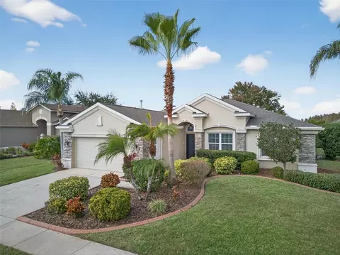 10539 Gooseberry Ct, Trinity, FL 34655