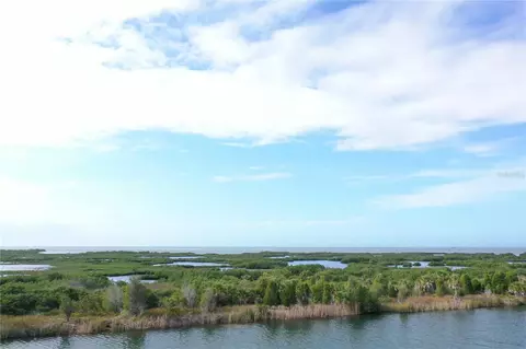 Lugustrum Drive, Hernando Beach, FL 34607 photo 5