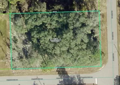 lot4 Kildeer Rd, Weeki Wachee, FL 34614