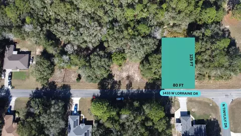 1433 W Lorraine Dr, Citrus Springs, FL 34434