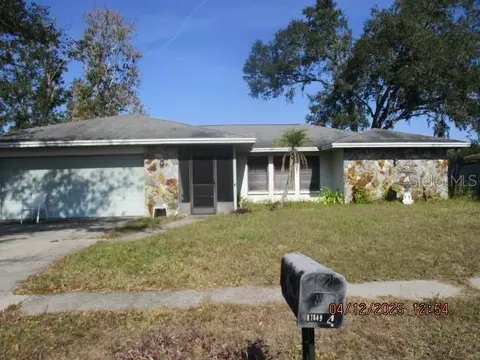 17849 Morninghigh Dr, Lutz, FL 33549