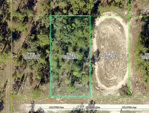 lot16 Calypso Ave, Brooksville, FL 34614