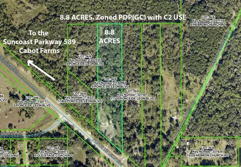 17338 Ponce De Leon Blvd, Brooksville, FL 34614