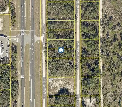 lot16 Necklace Warbler Ave, Weeki Wachee, FL 34614