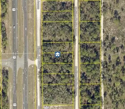 lot14 Necklace Warbler, Weeki Wachee, FL 34614
