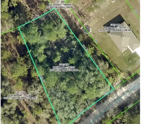 lot19 Canyon Swallow Rd, Weeki Wachee, FL 34614