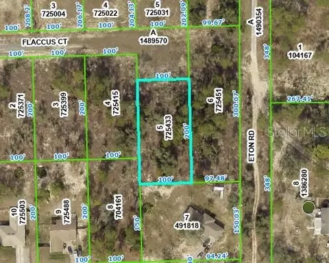 13154 Flaccus Ct, Brooksville, FL 34613