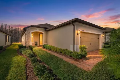 19440 Ship Wheel Way, Land O Lakes, FL 34638