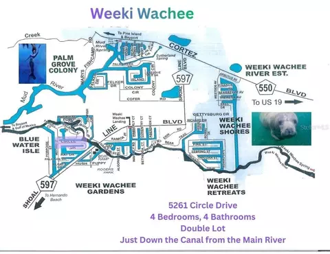 View/Area - 5261 Circle Dr, Weeki Wachee, FL 34607 photo 4 of 9