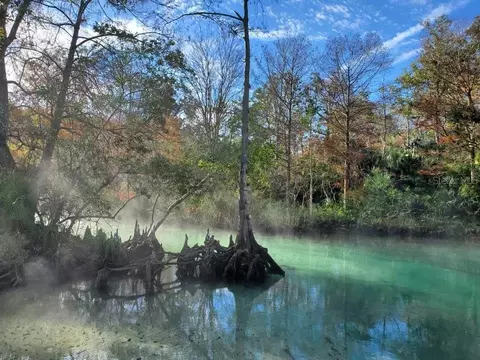 View/Area - 5261 Circle Dr, Weeki Wachee, FL 34607 photo 8 of 9