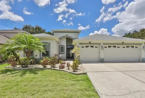 1403 Emerald Hill Way, Valrico, FL 33594