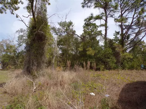 4582 Gondolier Rd, Spring Hill, FL 34609