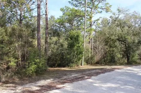 34273 Belt Dr, Dade City, FL 33523