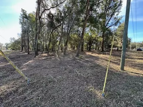 1 SE 161st Ct, Ocklawaha, FL 32179