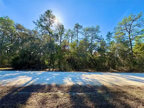 9164 Birmingham Ave, Weeki Wachee, FL 34613