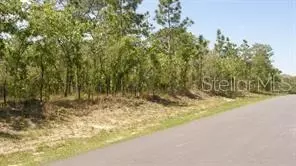 0 Petrel Ave, Weeki Wachee, FL 34614