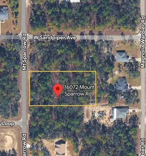 16072 Mount Sparrow Rd, Brooksville, FL 34614