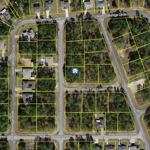 647 W Tulip Ln, Citrus Springs, FL 34434