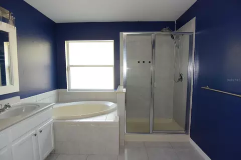 Bath - 11454 Walden Loop, Parrish, FL 34219 photo 2 of 6