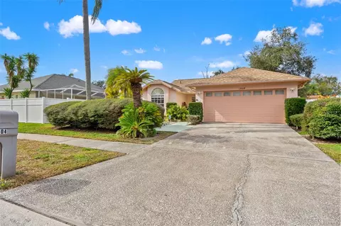 13504 Fawn Ridge Blvd, Tampa, FL 33626