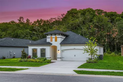 11335 Striped Bass Ct, New Port Richey, FL 34654