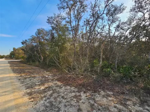 34310 Manuel St, Webster, FL 33597