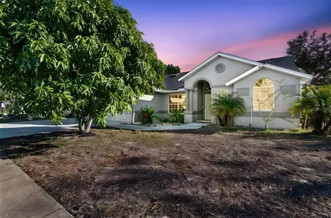 377 Wood Chuck Ave, Tarpon Springs, FL 34689