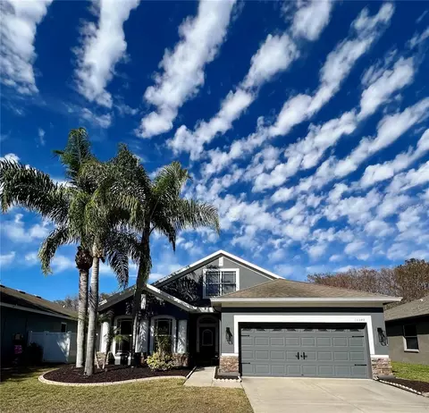13548 Old Florida Cir, Hudson, FL 34669