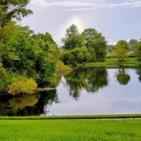 7737 Eureka Dr #203, Hudson, FL 34667