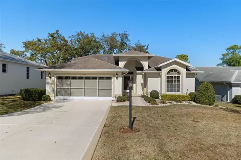 8009 Blue Skies Dr, Spring Hill, FL 34606