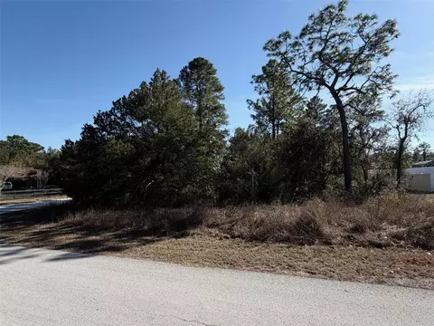 0 Gyrafalcon Ave, Weeki Wachee, FL 34613