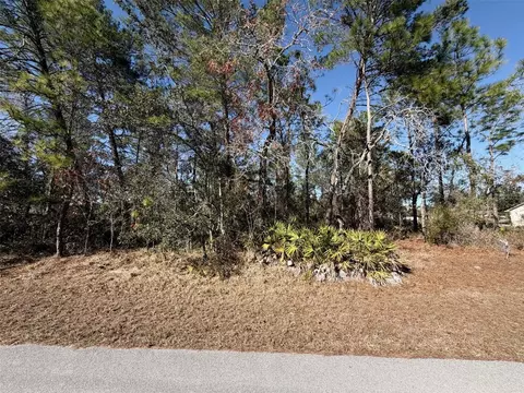 0 Fool Duck Ave, Weeki Wachee, FL 34613