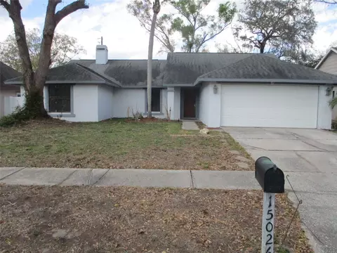 15026 Redcliff Dr, Tampa, FL 33625
