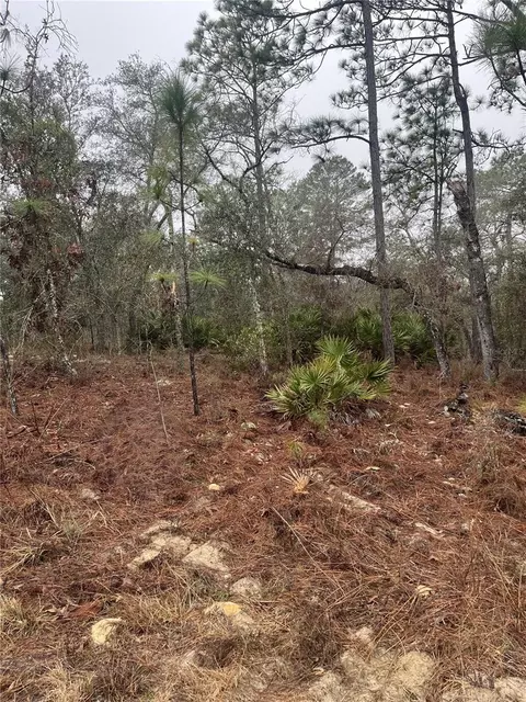 6692 N Airmont Dr, Dunnellon, FL 34433
