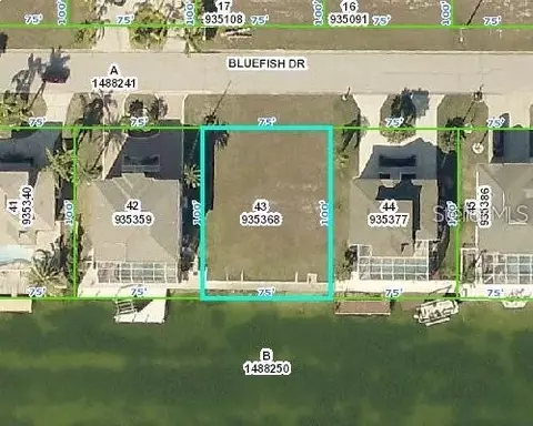 3464 Bluefish Dr, Hernando Beach, FL 34607 photo 4