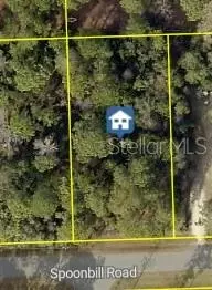 11051 Spoonbill Rd, Weeki Wachee, FL 34613