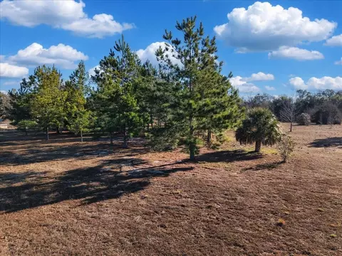 NW 76th Avenue, Chiefland, FL 32626