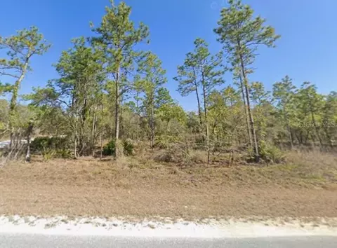 16230 Kakawi Rd, Brooksville, FL 34614
