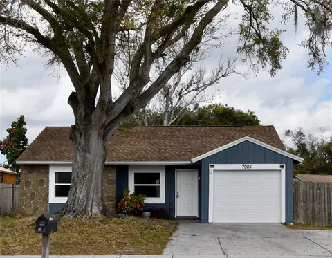 7925 Mitchell Ranch Rd, New Port Richey, FL 34655