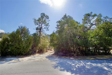 10458 Gypsy Ave, Weeki Wachee, FL 34613