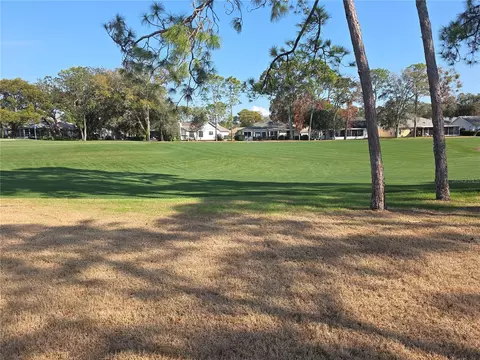 Exterior - 2376 Bent Pine Ct, Spring Hill, FL 34606 photo 5 of 7