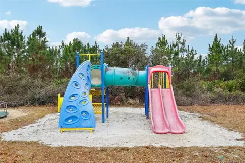 View/Area - 30342 Vitex Ave, Eustis, FL 32736 photo 3 of 3