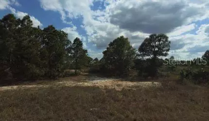 1032 Chadwick Ave, Lehigh Acres, FL 33974