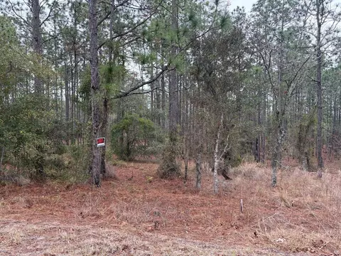 Nw Terrapin Drive, Dunnellon, FL 34431