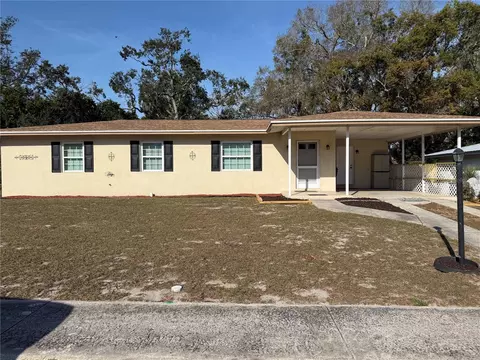 6452 Treehaven Dr, Spring Hill, FL 34606